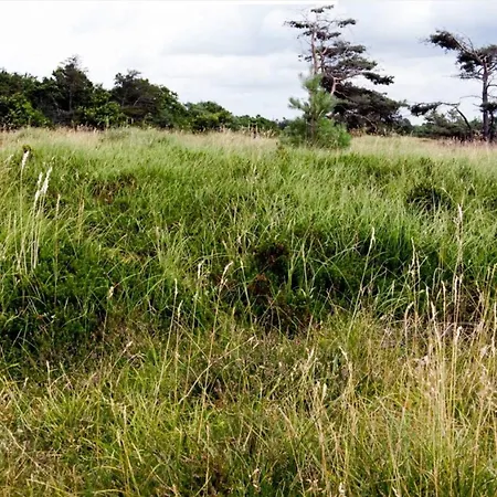 בית נופש Luxury With Pool - By Traum *