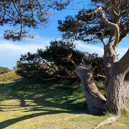 Luxury With Pool - By Traum בית נופש Vejby