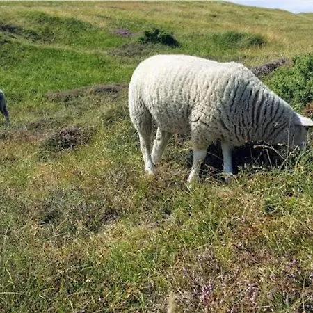 Luxury With Pool - By Traum