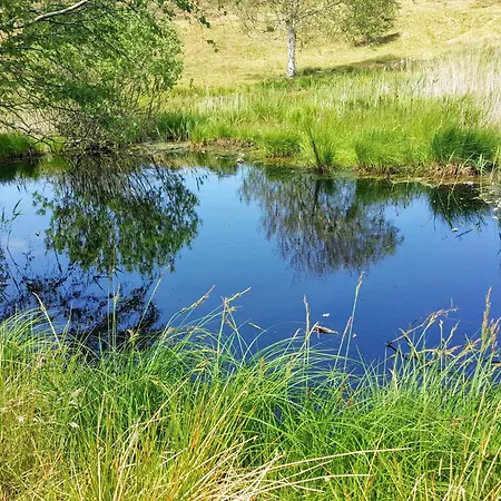 Luxury With Pool - By Traum בית נופש Vejby